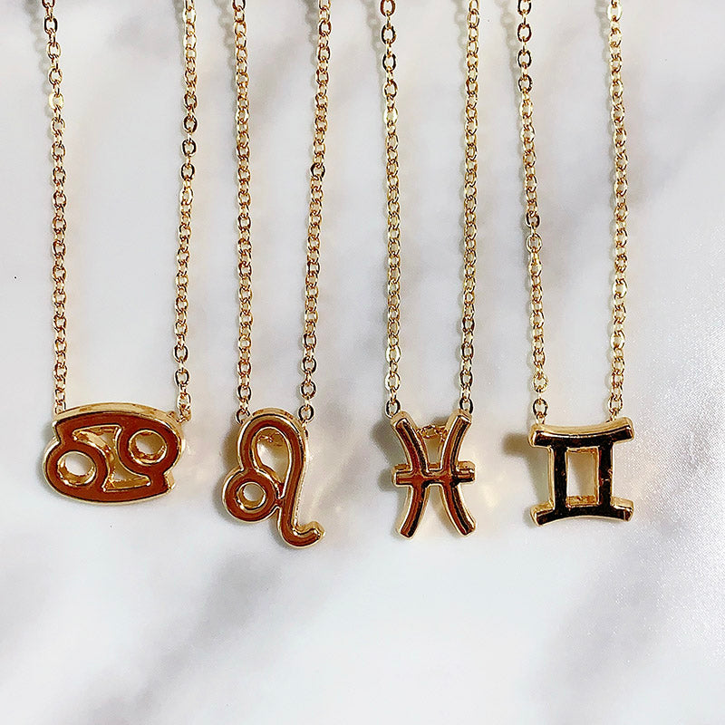 Stainless Steel 12 Constellation Pendant Necklace  NA0065