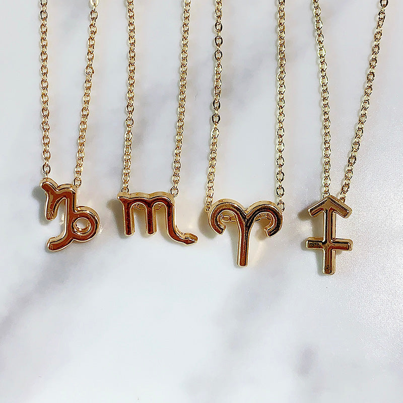Stainless Steel 12 Constellation Pendant Necklace  NA0065