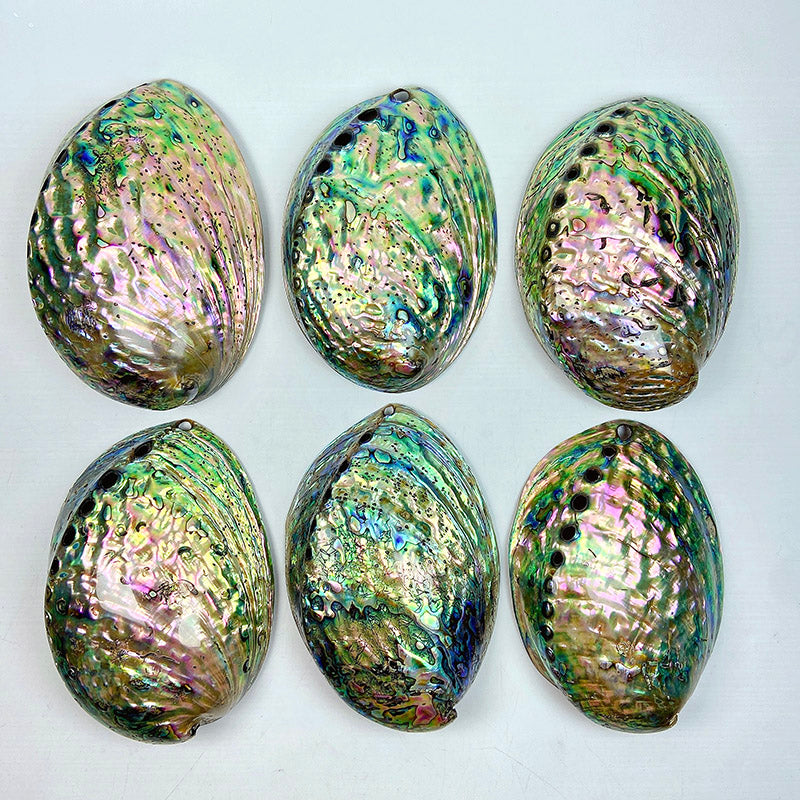 Natural Abalone Shell – KOMOCRYSTAL