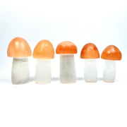 Beautiful Sselenite Mushroom Carving