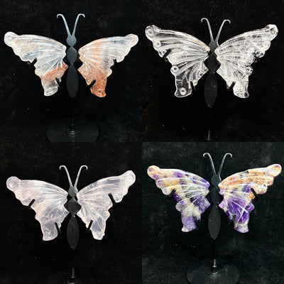 Small Size Butterfly Set
